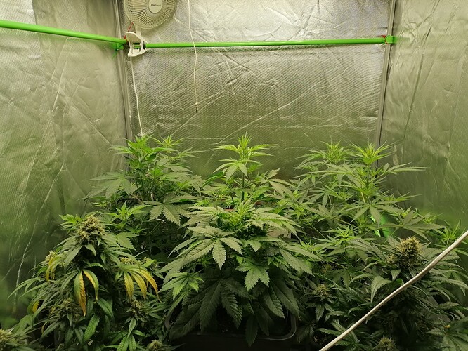 Growreport Bild 23