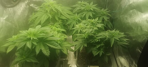 Growreport Bild 10