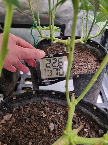 Growreport Bild 1