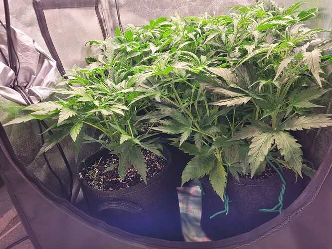 Growreport Bild 16