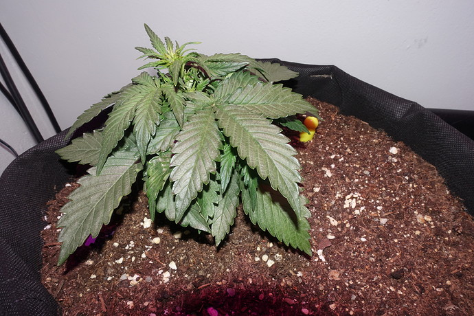 Growreport Bild 10
