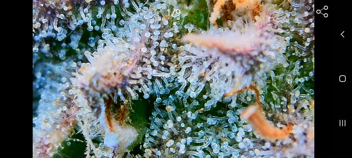 Growreport Bild 12