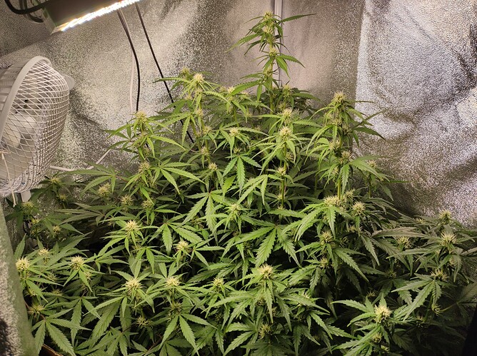 Growreport Bild 7
