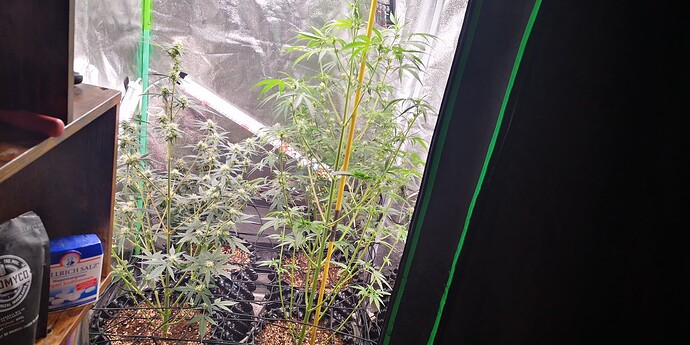 Growreport Bild 22