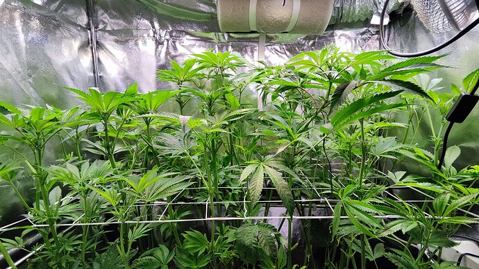 Growreport Bild 12