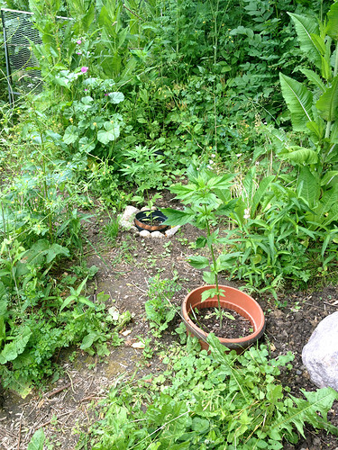 Growreport Bild 11