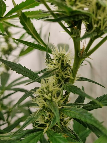 Growreport Bild 1