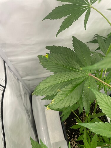 Growreport Bild 10