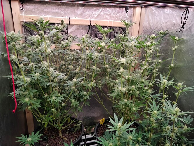 Growreport Bild 1