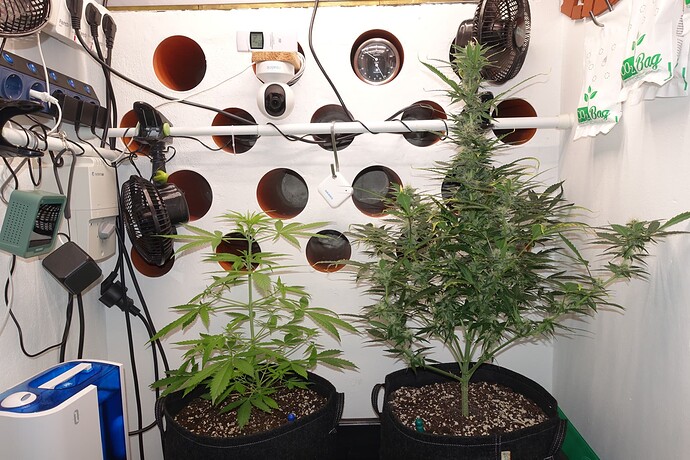 Growreport Bild 14