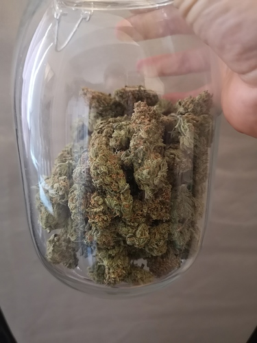 Growreport Bild 5