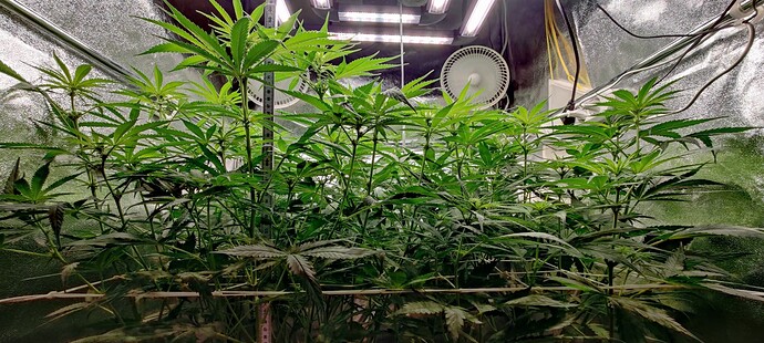 Growreport Bild 25