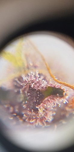 Growreport Bild 10