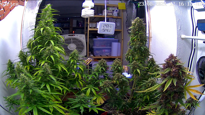 Growreport Bild 16