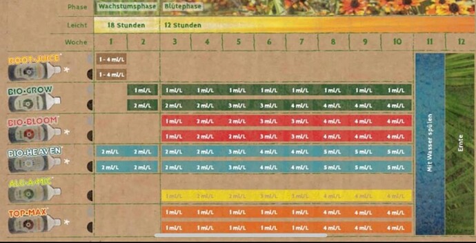 Growreport Bild 9