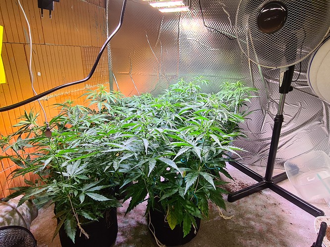 Growreport Bild 5