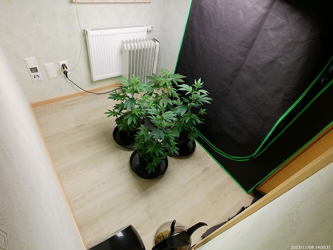 Growreport Bild 4