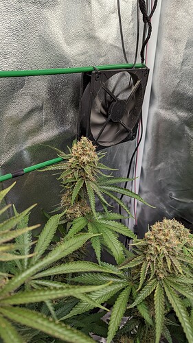 e5