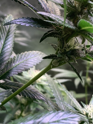Growreport Bild 11