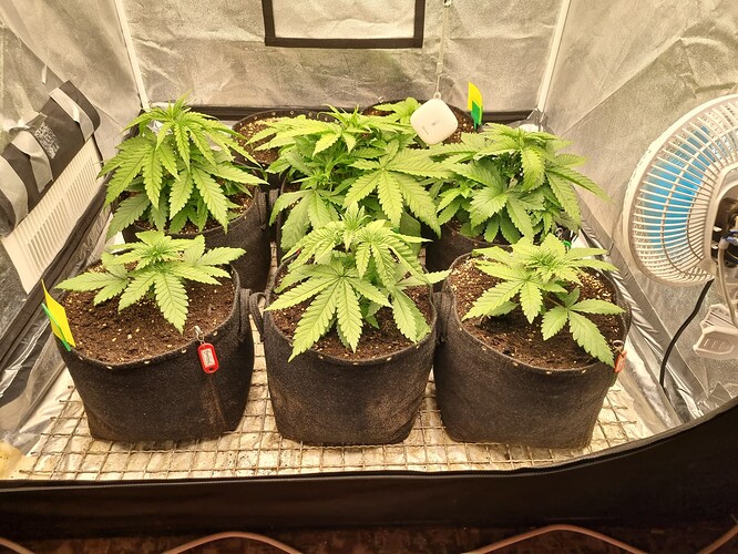 Growreport Bild 11