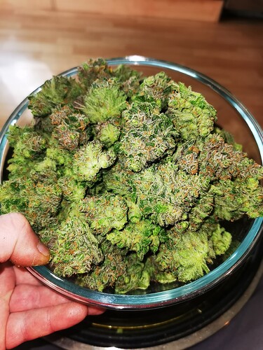 Growreport Bild 4