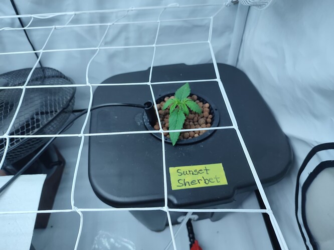 Growreport Bild 21