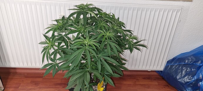 Growreport Bild 22