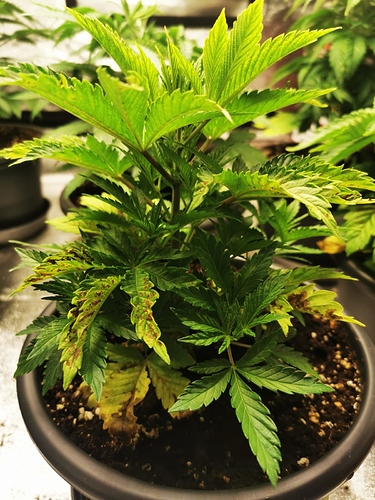 06%20(1)