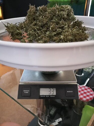 Growreport Bild 4