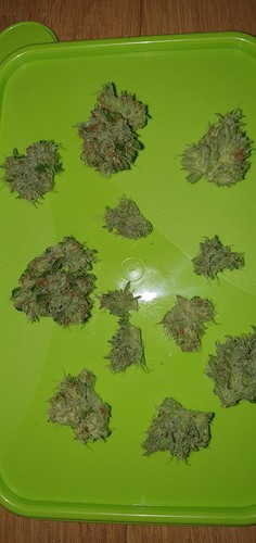 Growreport Bild 10