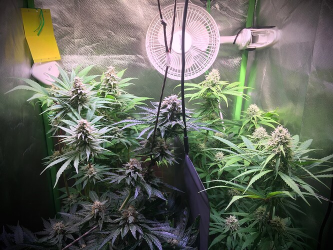 Growreport Bild 2