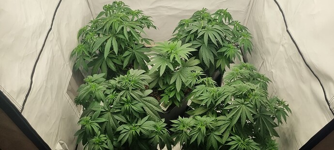Growreport Bild 6