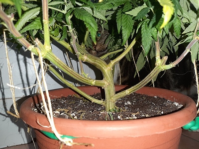 Growreport Bild 14