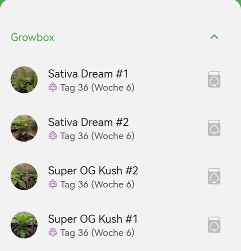 Growreport Bild 23