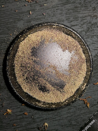 Growreport Bild 14