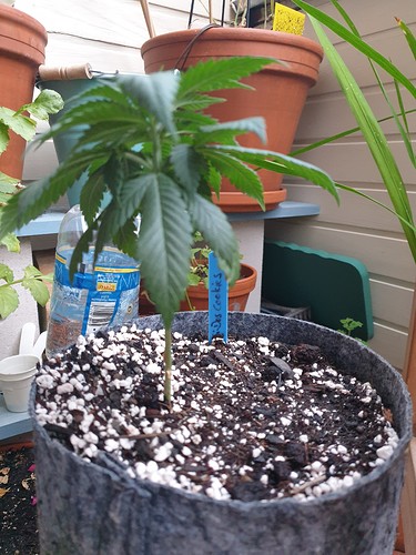 Growreport Bild 9