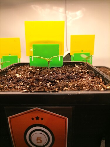 Growreport Bild 48
