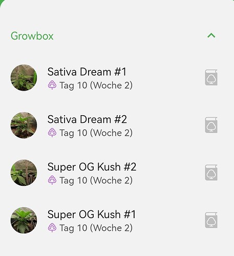 Growreport Bild 2