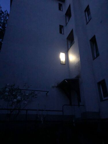 Growreport Bild 2
