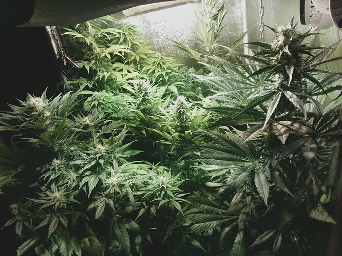Growreport Bild 11