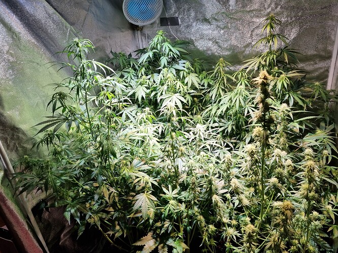 Growreport Bild 21