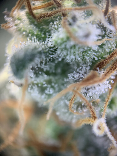 Growreport Bild 26