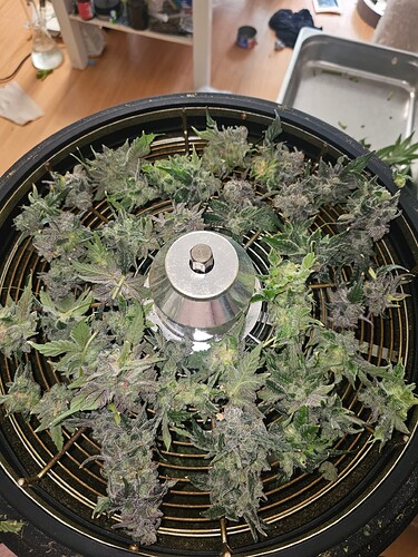 Growreport Bild 1