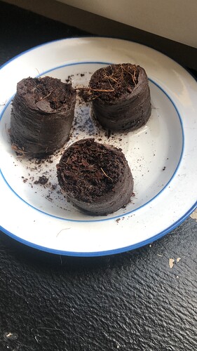 Growreport Bild 1