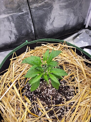 Growreport Bild 12