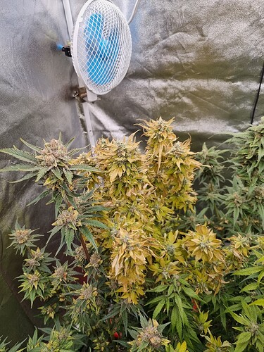 Growreport Bild 8
