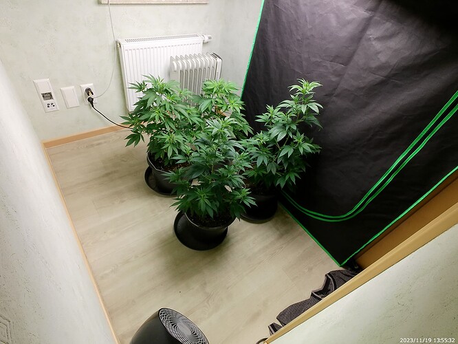 Growreport Bild 14