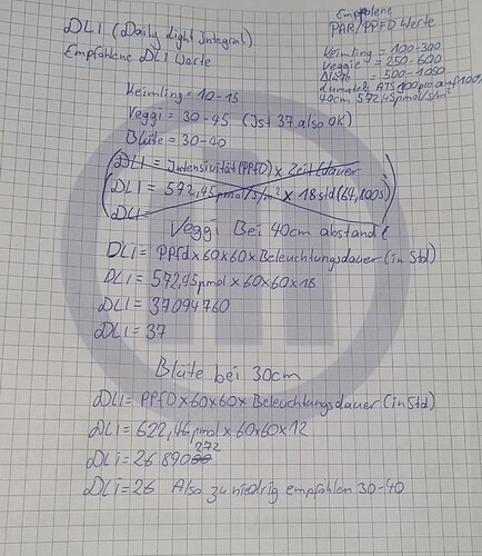 Growreport Bild 11