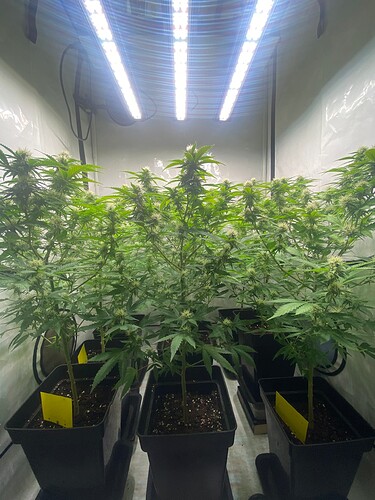 Growreport Bild 3