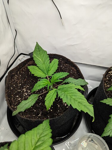 PXL_20231110_132406327